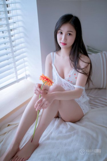 海贼王污h侵犯娜美本子